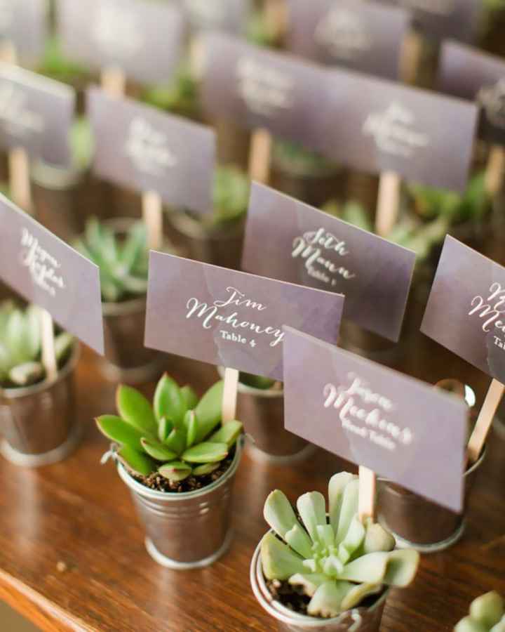 Inspirations déco plantes grasses - 17