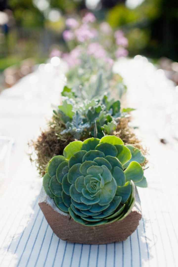 Inspirations déco plantes grasses - 19