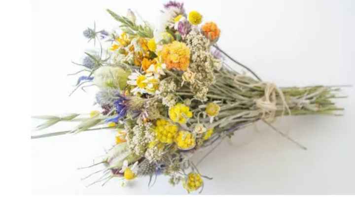 Palette de couleurs d'été ? - 4