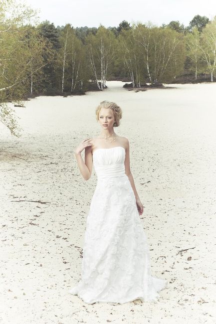 Pronuptia 2012