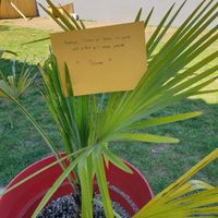 Love note (à mon tour...) - 1