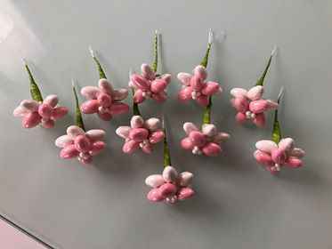 fleurs