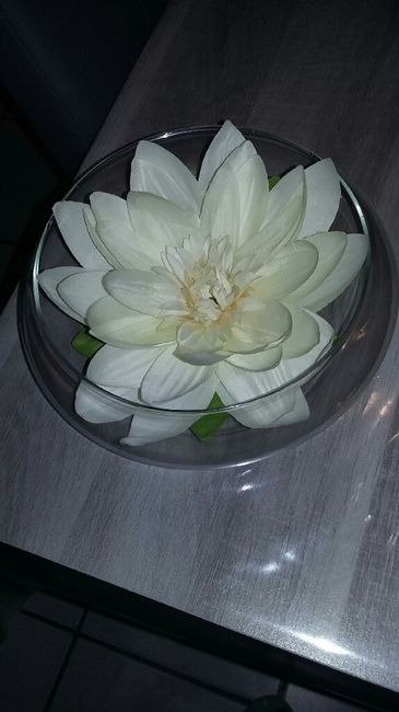 Nos trouvaille du jour - 1