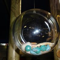 les bulles !!!!!!!!!!!!!!