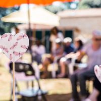 Mes pics coeurs vandalisés par les enfants dès le début du VH