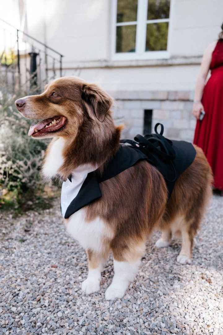 Une semaine déjà - 4