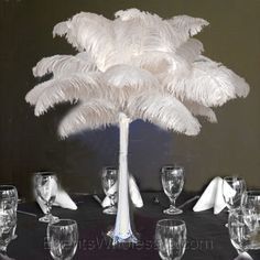 palmier de plumes