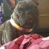 Cérémonie religieuse ou cérémonie laïque - 1