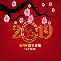 bonne année 2019