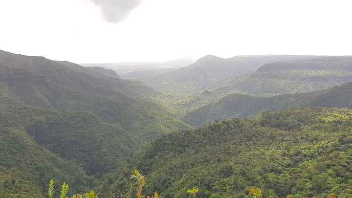 Réunion avec île Maurice ou non ? - 2