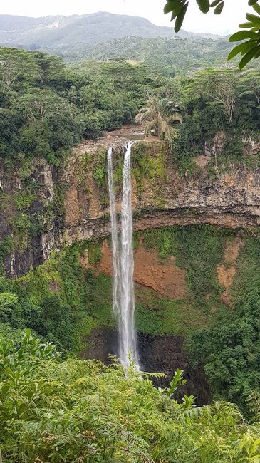 Réunion avec île Maurice ou non ? - 1