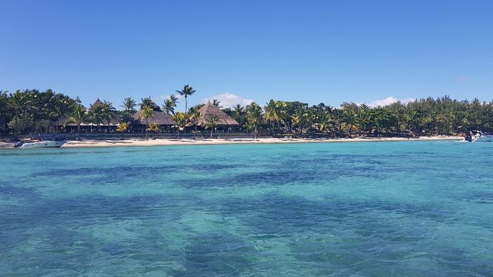 Réunion avec île Maurice ou non ? - 5