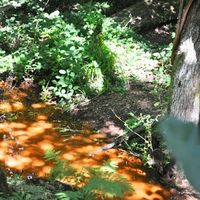 Thème légende de Brocéliande - 3