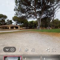 Marine décoration - 1