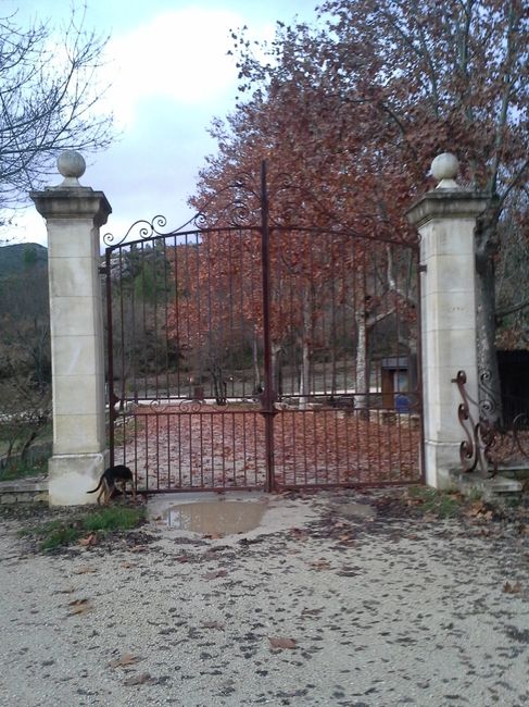 Repérage du parc pour les photos de groupe