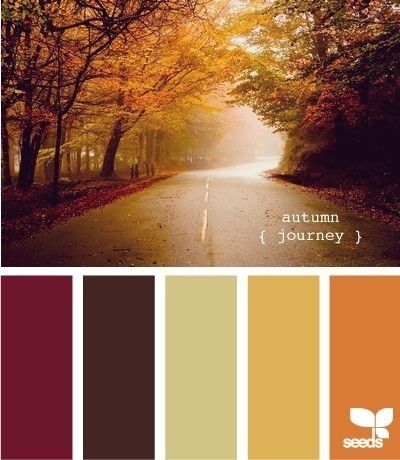 couleurs mariage automne
