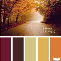 couleurs mariage automne