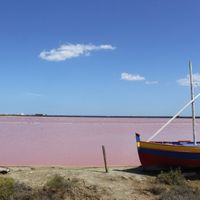 Décoration intérieur salle. (n°2) - 10