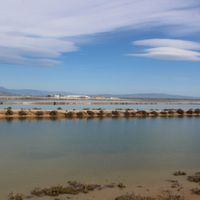 Décoration intérieur salle. (n°2) - 11