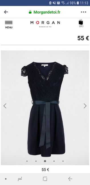 Pour ma robe de rêve je veux cette couleur ! - 1
