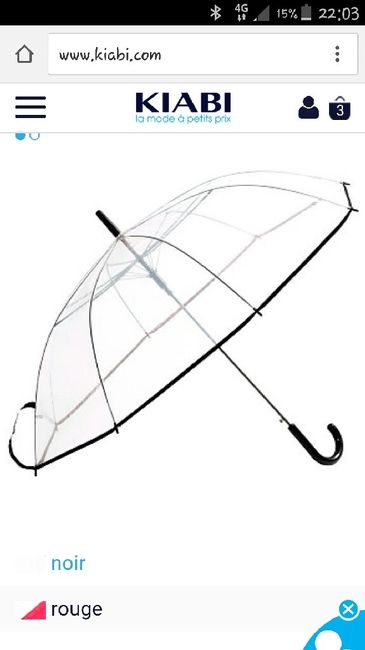 Recherche témoignage de mariage sous la pluie - 1