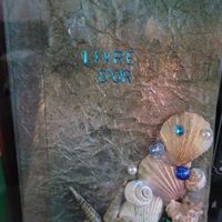 Idées originales Livre d'or - 1