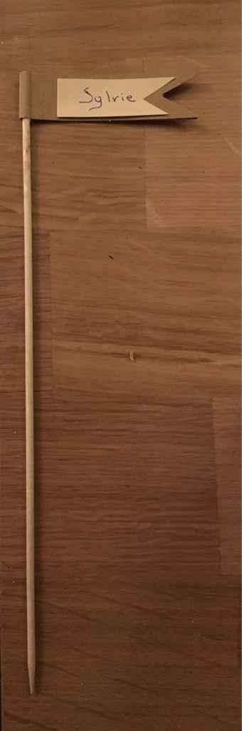  Essai diy vos avis - 1