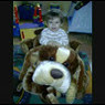 Aurelie