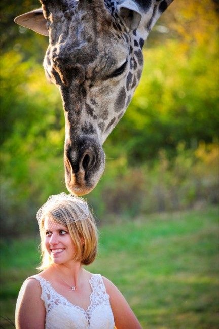 TTD avec animaux