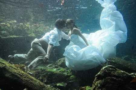 Trash The Dress
