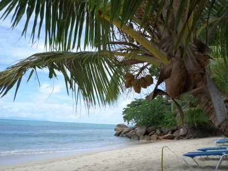 Plage de notre hôtel