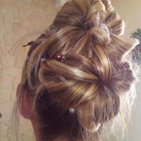 chignon