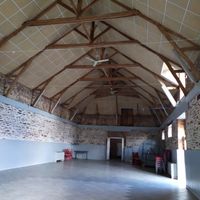 Demande de conseils - plafond branches diy - 1