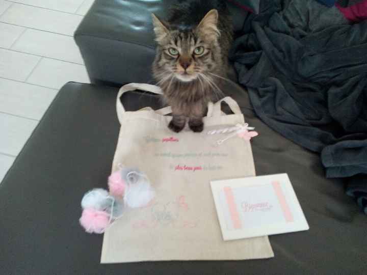 Support à Welcome Bag - 4