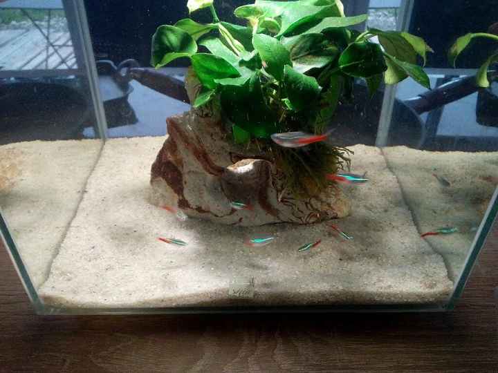 Détail de notre urne - 2