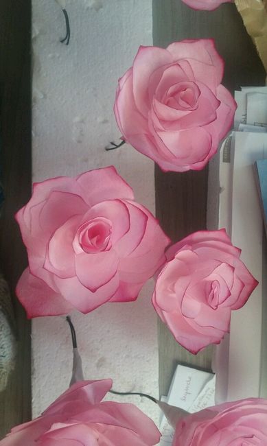 Mes roses en filtre a café - 2