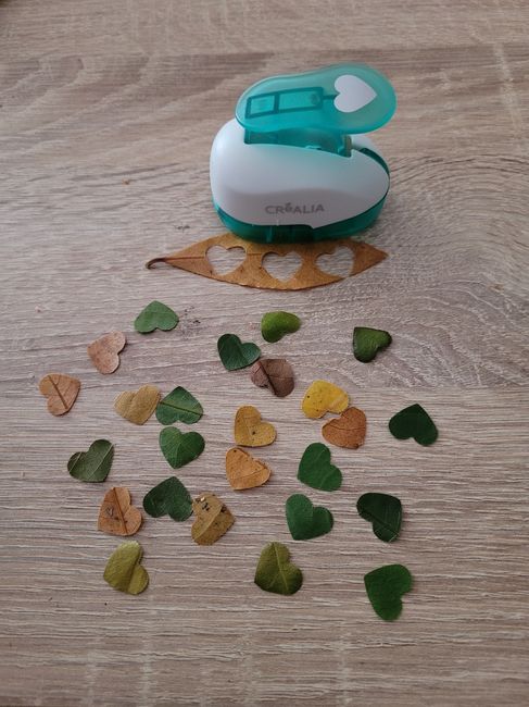 Confettis naturels - 1