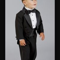 Recherche prestataire location queue de pie - 1