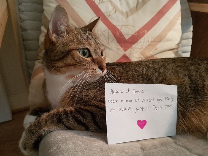 Love note animalier 1