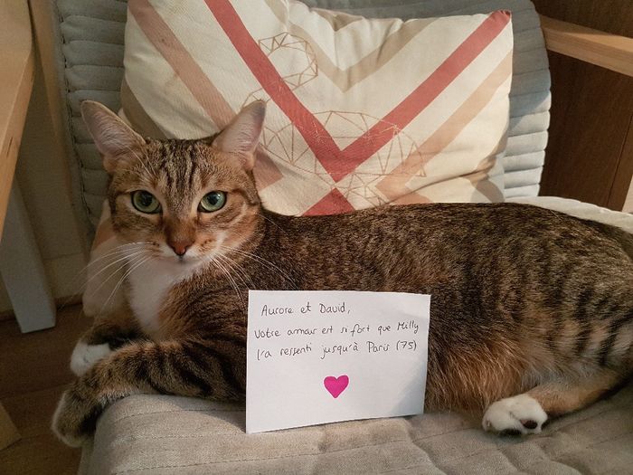 Love note animalier 2