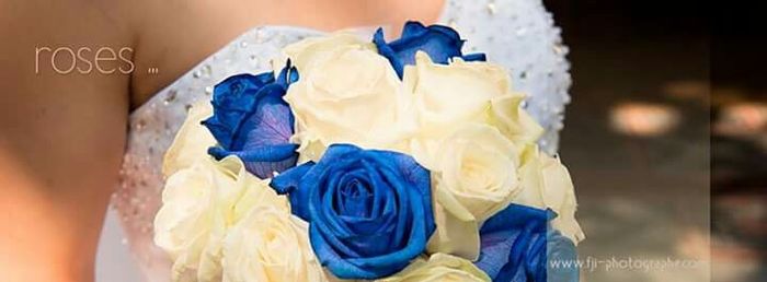Avis prestataires du gard de mon mariage - 3