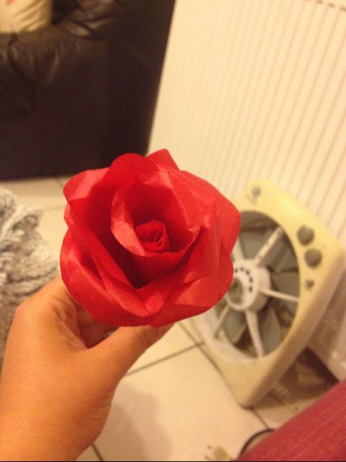 rose papier