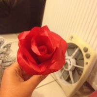 rose papier