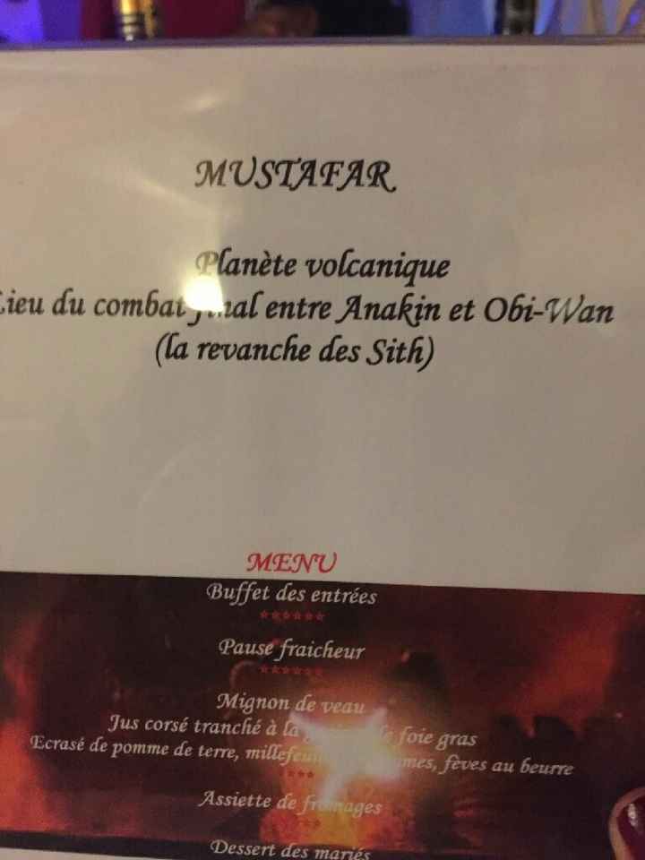 Mariages thèmes geeks/fantaisy en 2017-2018 - 4