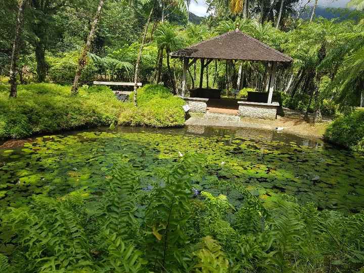  Retour d'une semaine au paradis - 8