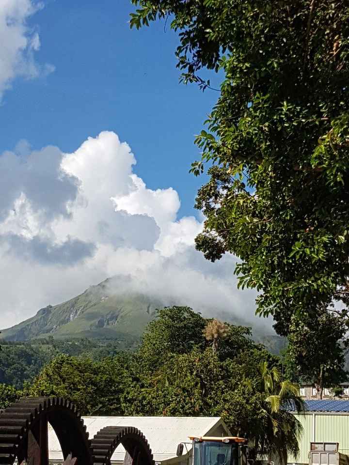  Retour d'une semaine au paradis - 9