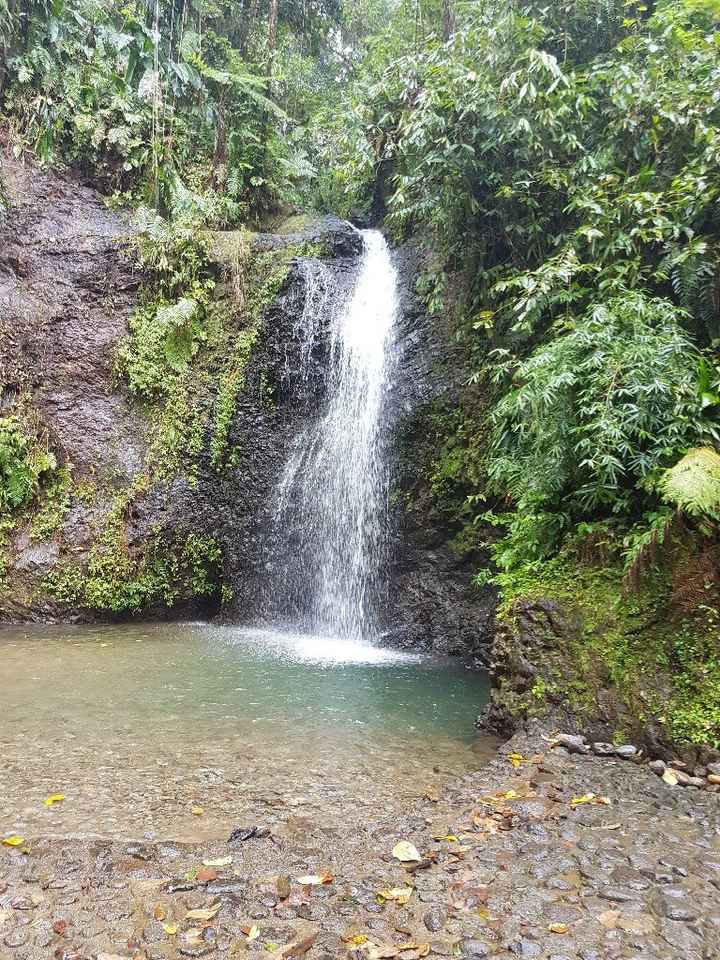  Retour d'une semaine au paradis - 15
