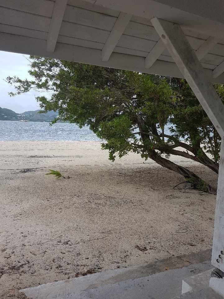  Retour d'une semaine au paradis - 21