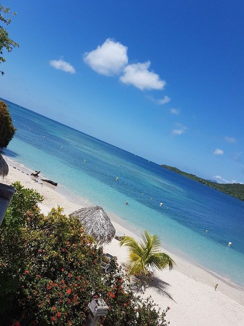  Retour d'une semaine au paradis - 3