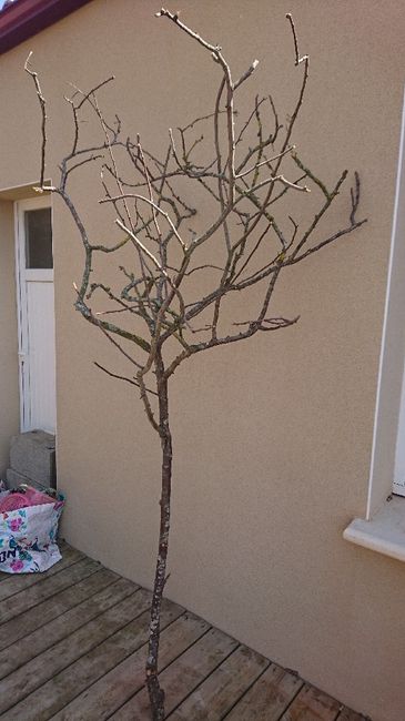 Confection arbre plan de table - 2